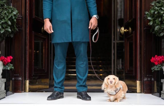 Doorman and dog, Mandarin Oriental Hyde Park London