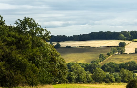 Cotswolds countryside in autumn