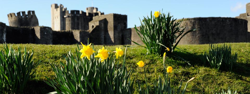 A host of St David's Day treats by Maggie O'Sullivan Image