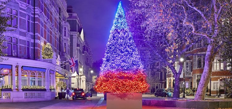 Top London Christmas trees Image
