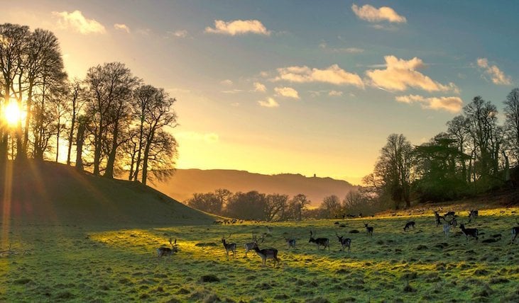 Autumn with the National Trust Image