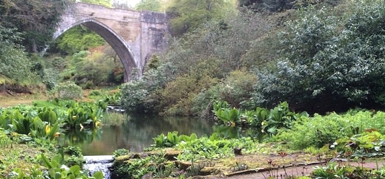 Kildrummy Castle Gardens: like Chelsea without the crowds by Maggie O'Sullivan Image