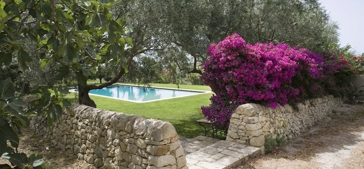 New luxury villa company launches Image