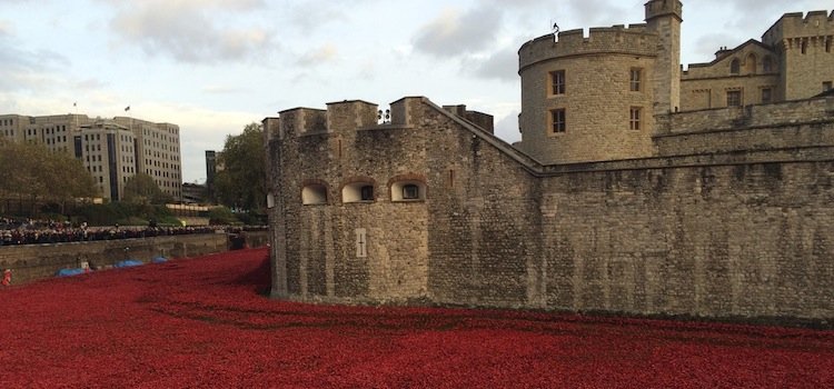LEST WE FORGET by the Travelwrap Team Image