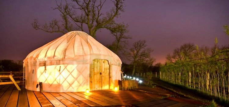 Yurts for happy glampers by Maggie O'Sullivan Image